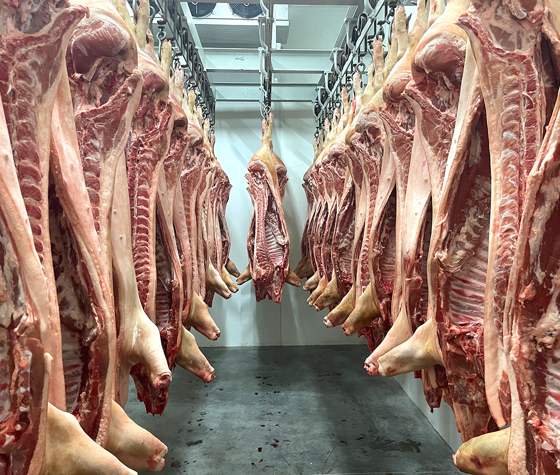 Реалізація м'ясної продукції - ТОВ "Західноукраїнська М’ясопереробна Компанія"