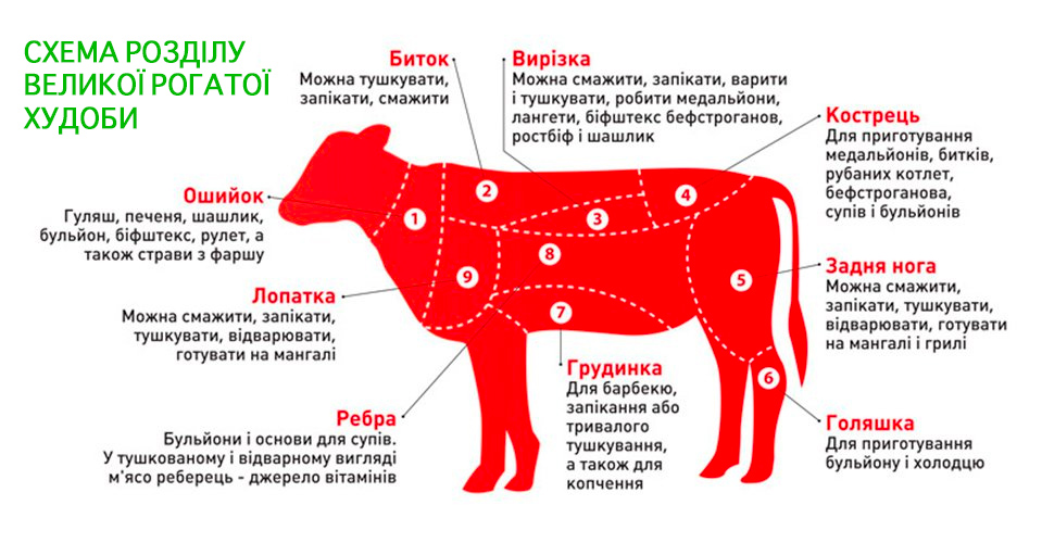 Схема розділу великої рогатої худоби ТОВ "Західноукраїнська М’ясопереробна Компанія"